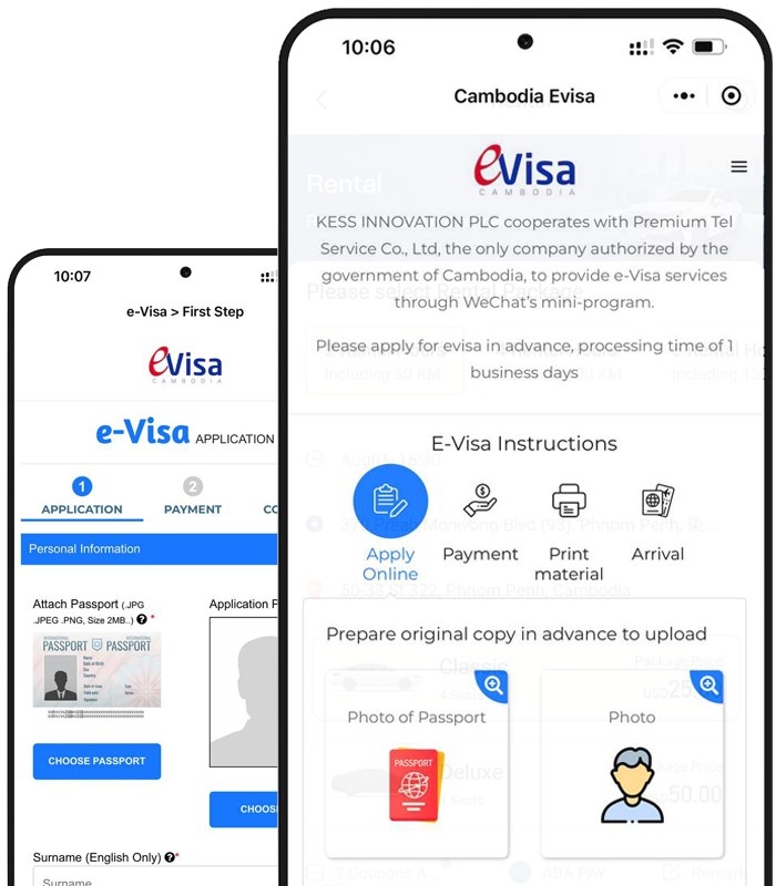 E-visa demo